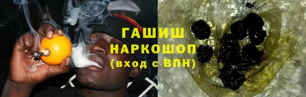 гидра Белокуриха