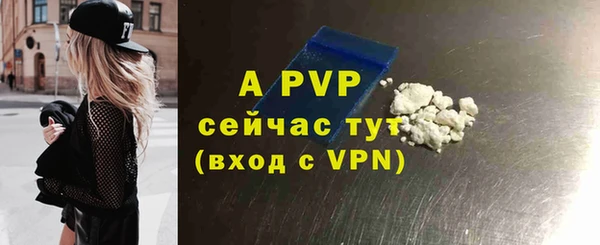 первитин Богданович