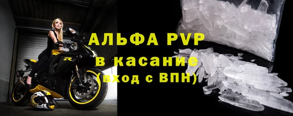 первитин Богданович