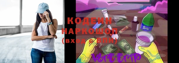 гидра Белокуриха