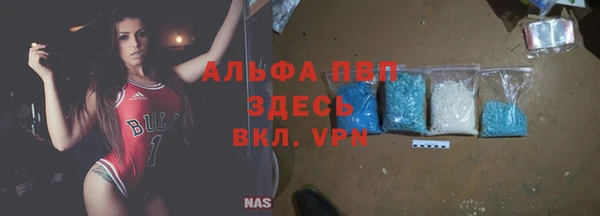 первитин Богданович