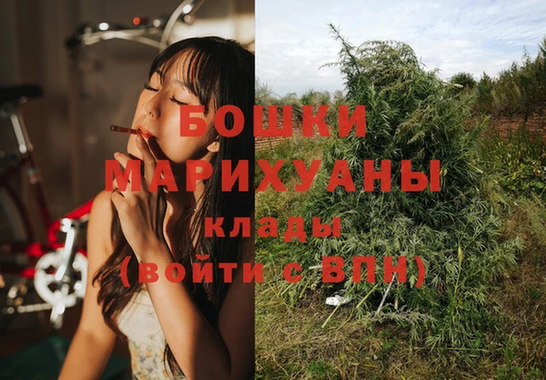первитин Богданович