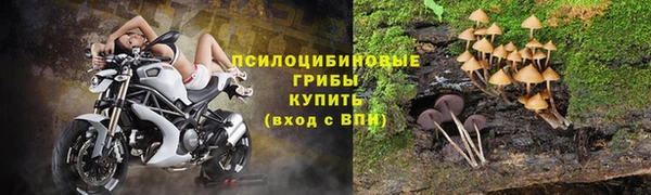 COCAINE Богородск